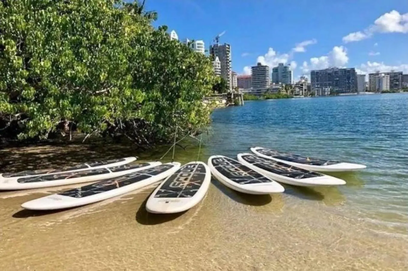 P5 Pr Rentals Condado Beach Great Location San Juan Portoriko